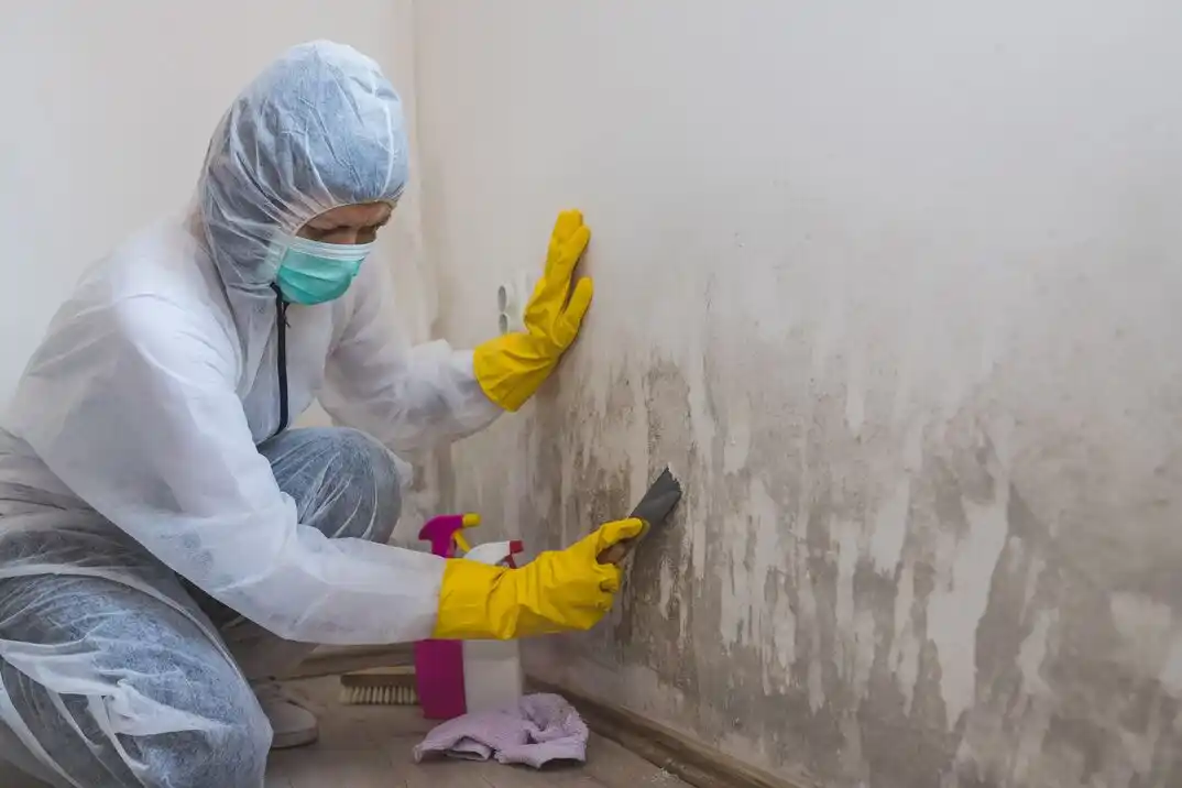 water damage restoration service North Renton